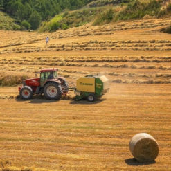 EM für Landwirtschaft