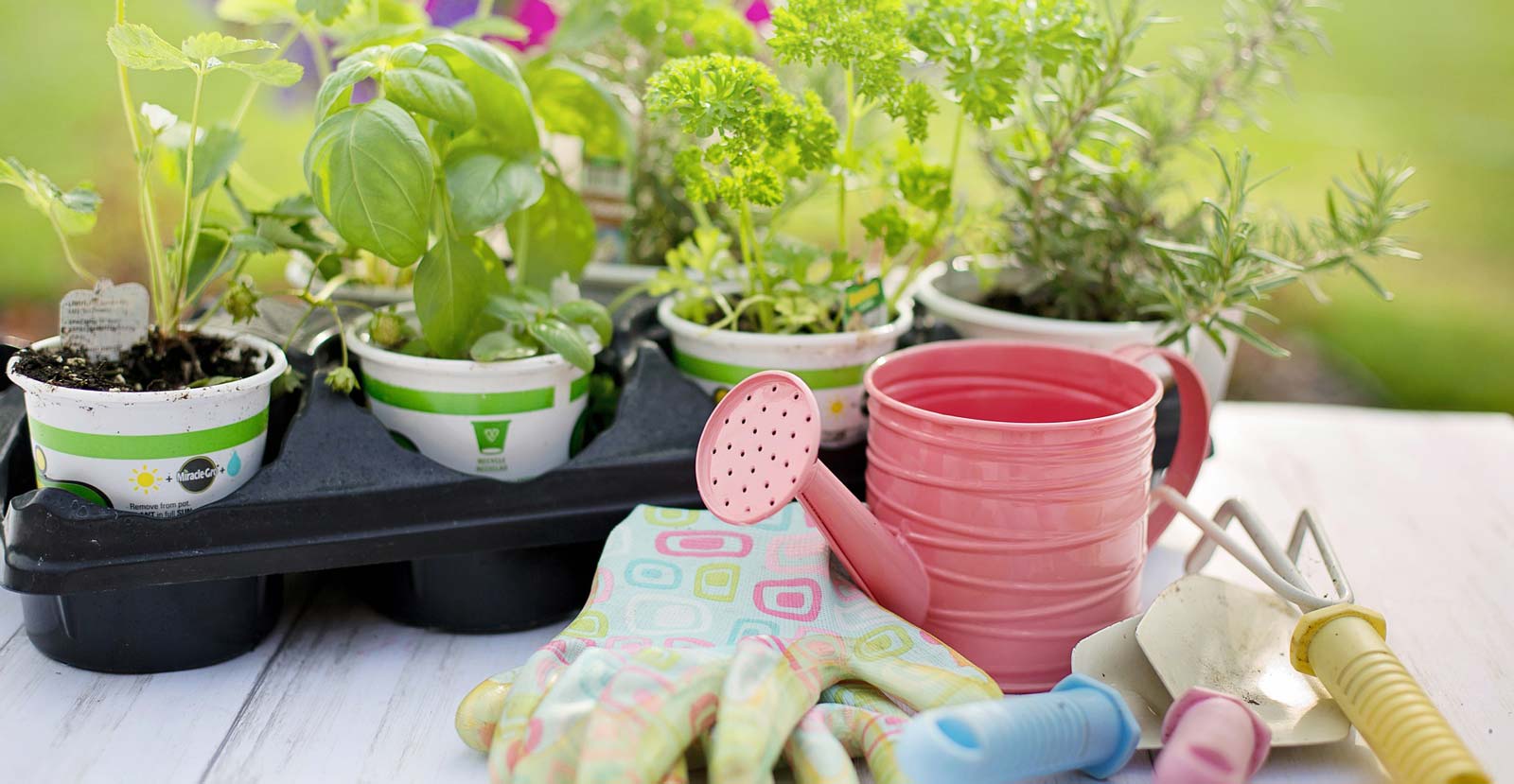 Organischer Dünger für den Garten