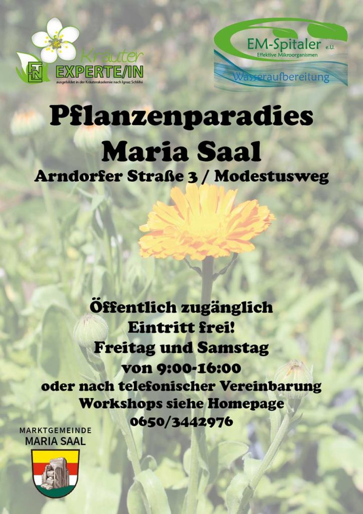 pflanzenparadies-flyer