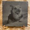 Hund auf Schieferplatte 20cm