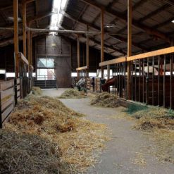 Stallklima