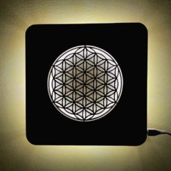 Wandlicht Blume des Lebens klein - USB - Kaltweiß