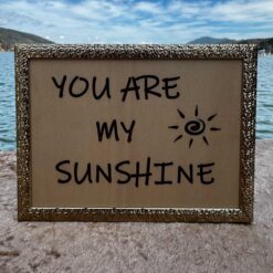 Geldgeschenk im Rahmen - You are my sunshine